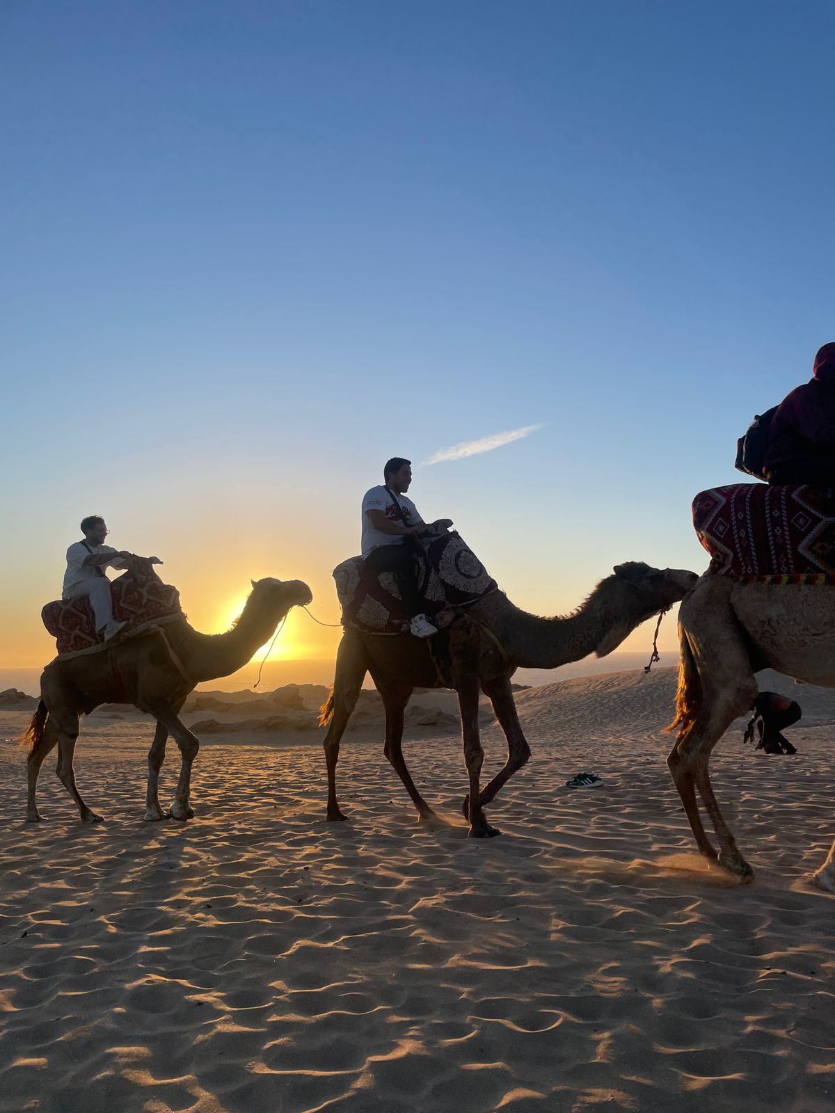 AGADIR CAMEL RIDE