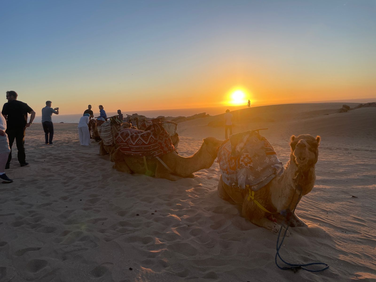 AGADIR CAMEL RIDE