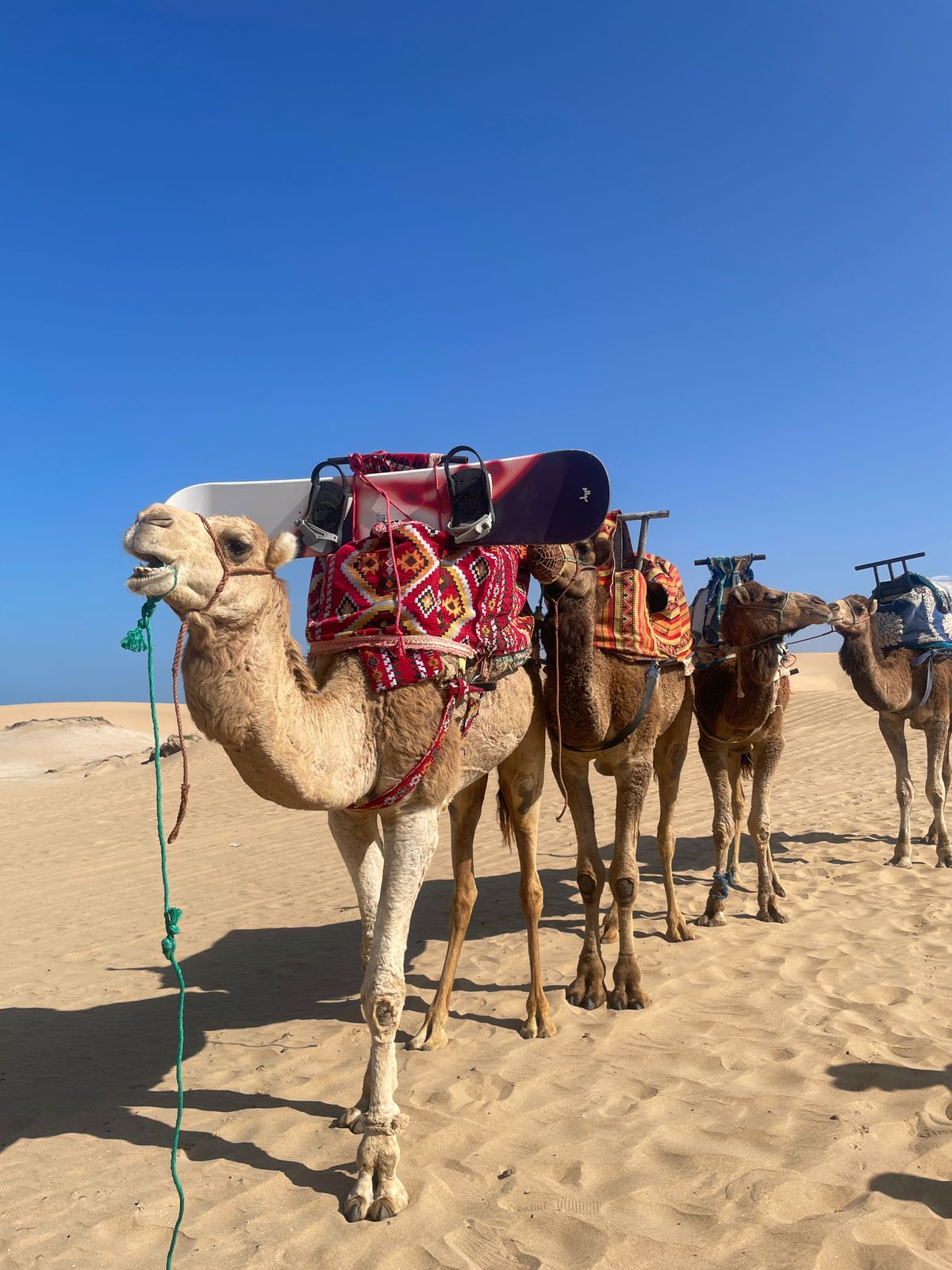 AGADIR CAMEL RIDE