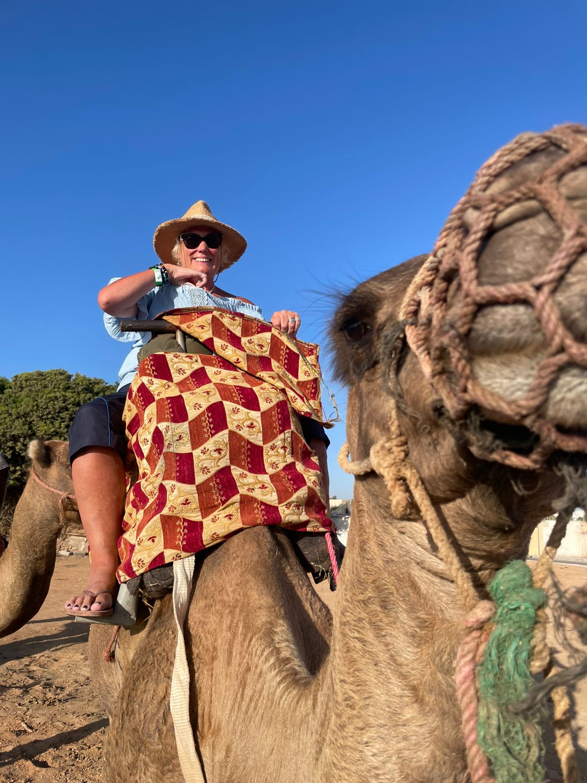 CAMEL RIDE IN AGADIR