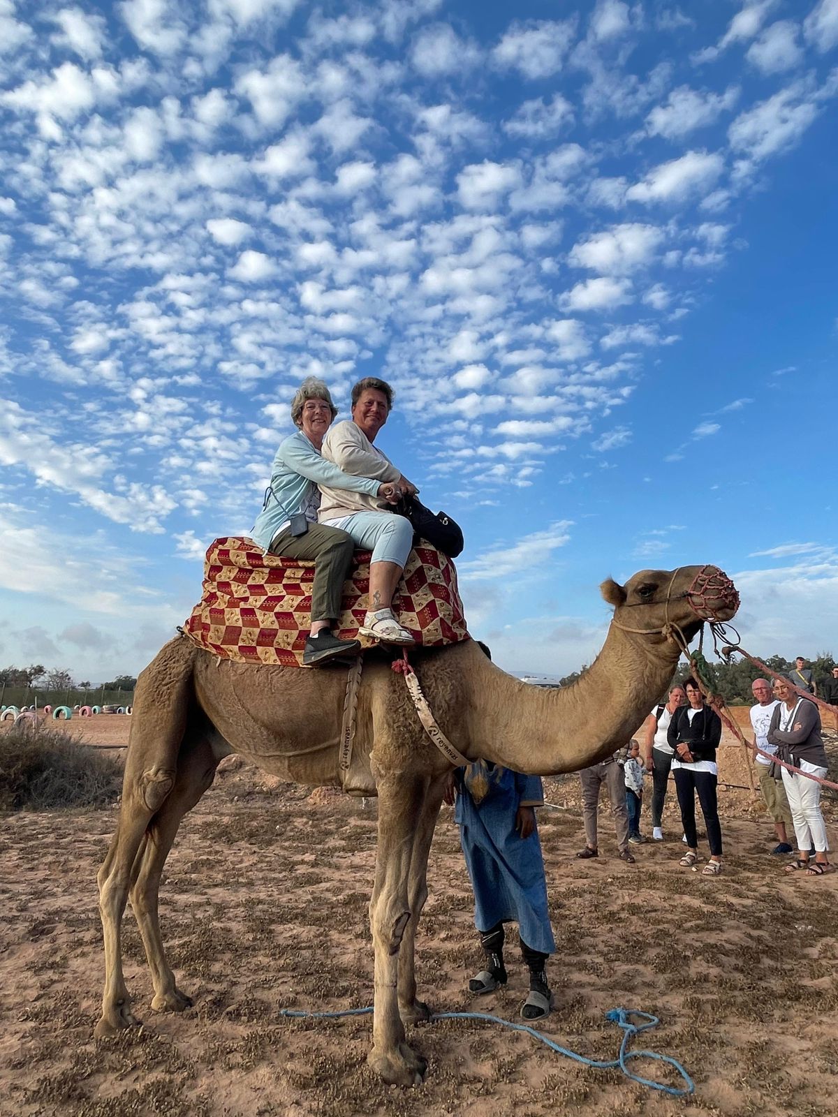 CAMEL RIDE